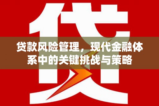 波密贷款风险管理，现代金融体系中的关键挑战与策略