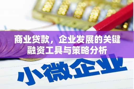 波密商业贷款，企业发展的关键融资工具与策略分析