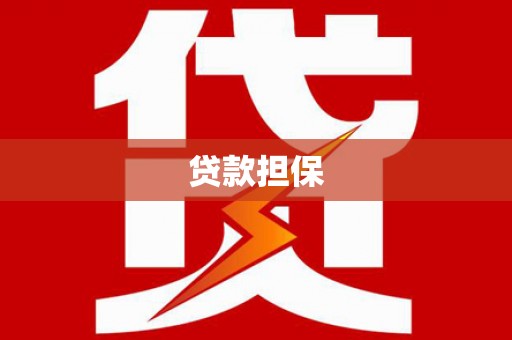 波密贷款担保
