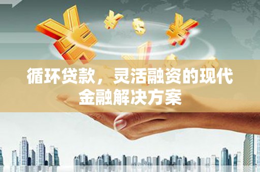 波密循环贷款，灵活融资的现代金融解决方案
