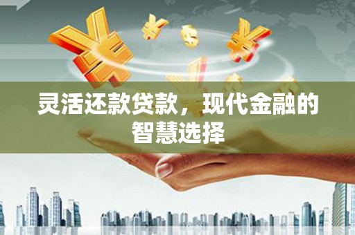 波密灵活还款贷款，现代金融的智慧选择