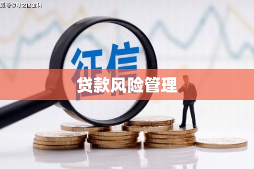 波密贷款风险管理