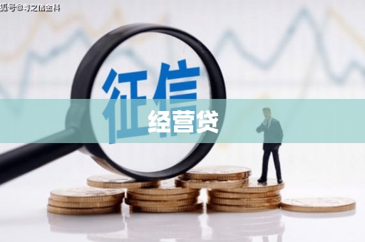 波密经营贷