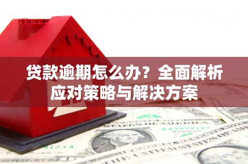 波密贷款逾期怎么办？全面解析应对策略与解决方案
