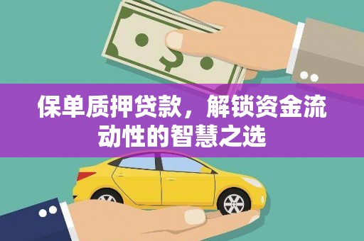 波密保单质押贷款，解锁资金流动性的智慧之选