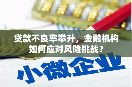 波密贷款不良率攀升，金融机构如何应对风险挑战？
