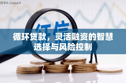 波密循环贷款，灵活融资的智慧选择与风险控制
