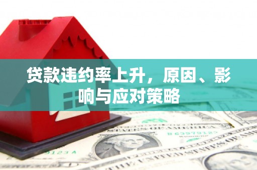 波密贷款违约率上升，原因、影响与应对策略