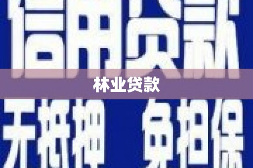 波密林业贷款