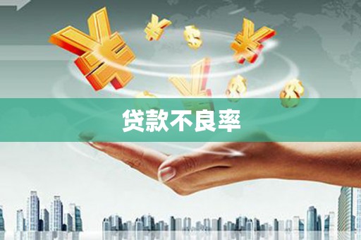 波密贷款不良率