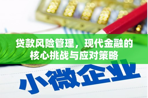 波密贷款风险管理，现代金融的核心挑战与应对策略