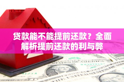 波密贷款能不能提前还款？全面解析提前还款的利与弊