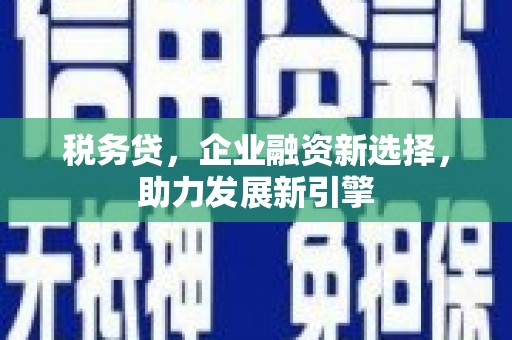 波密税务贷，企业融资新选择，助力发展新引擎