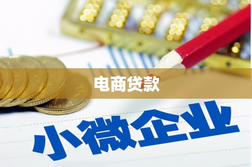 波密电商贷款