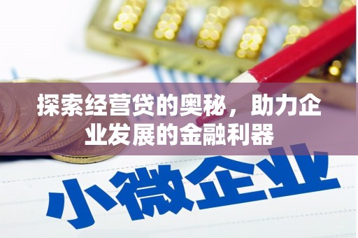 波密探索经营贷的奥秘，助力企业发展的金融利器