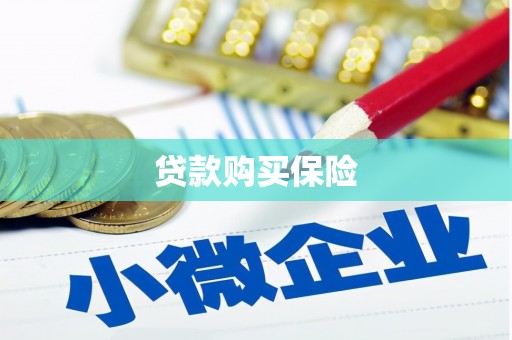 波密贷款购买保险