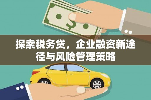 波密探索税务贷，企业融资新途径与风险管理策略