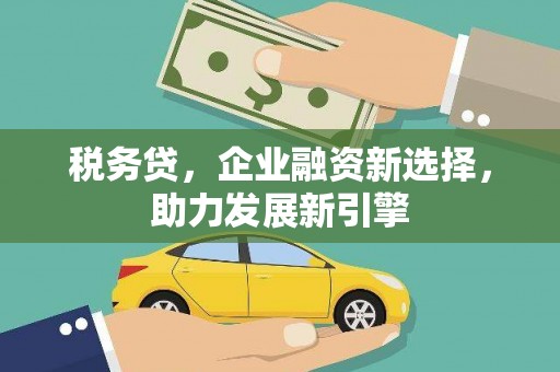 波密税务贷，企业融资新选择，助力发展新引擎