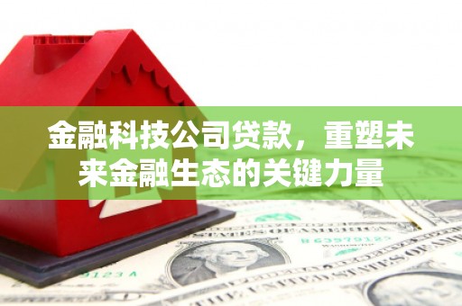 波密金融科技公司贷款，重塑未来金融生态的关键力量