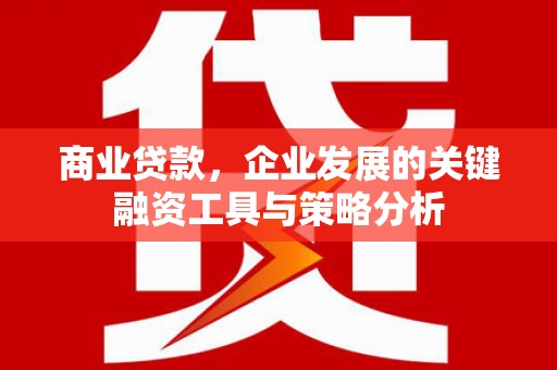 波密商业贷款，企业发展的关键融资工具与策略分析