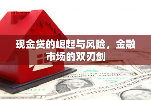 波密现金贷的崛起与风险，金融市场的双刃剑