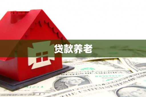 波密贷款养老