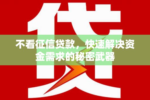 波密不看征信贷款，快速解决资金需求的秘密武器