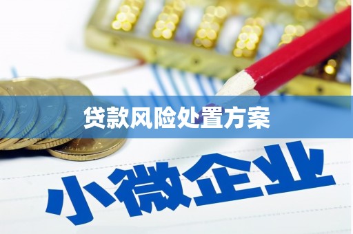 波密贷款风险处置方案