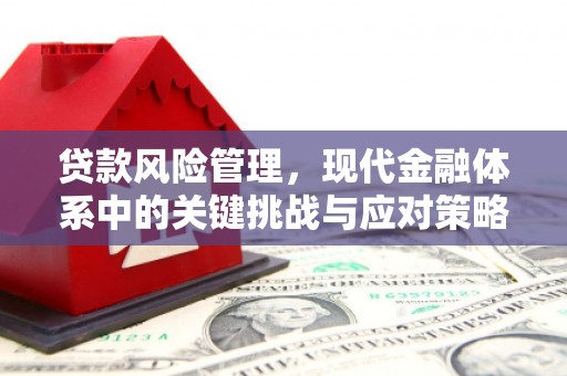 波密贷款风险管理，现代金融体系中的关键挑战与应对策略