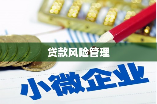 波密贷款风险管理