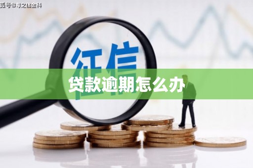 波密贷款逾期怎么办