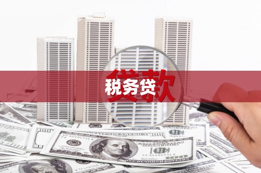波密税务贷