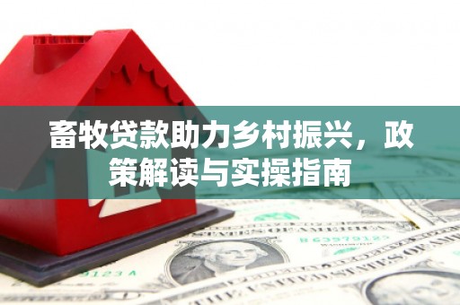波密畜牧贷款助力乡村振兴，政策解读与实操指南