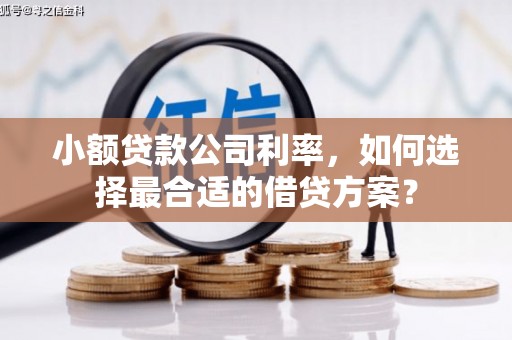 波密小额贷款公司利率，如何选择最合适的借贷方案？