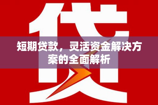 波密短期贷款，灵活资金解决方案的全面解析