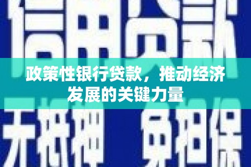 波密政策性银行贷款，推动经济发展的关键力量