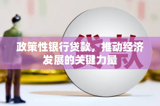 波密政策性银行贷款，推动经济发展的关键力量
