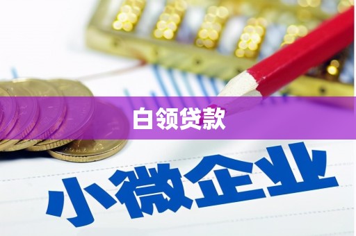 波密白领贷款