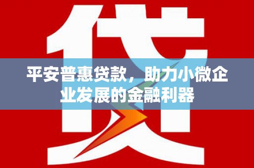 波密平安普惠贷款，助力小微企业发展的金融利器