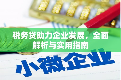 波密税务贷助力企业发展，全面解析与实用指南
