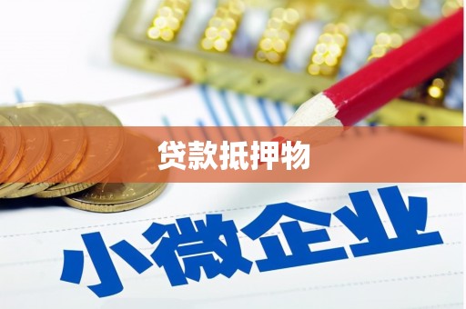 波密贷款抵押物