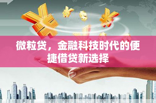 波密微粒贷，金融科技时代的便捷借贷新选择