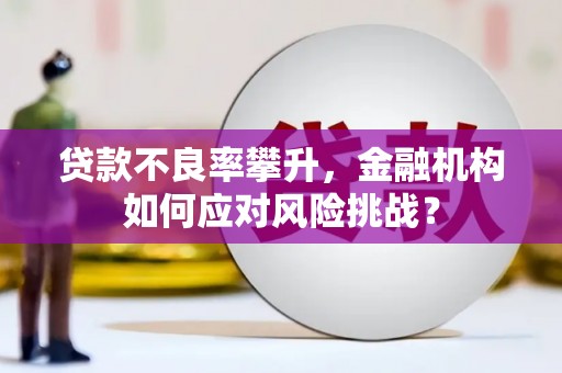 波密贷款不良率攀升，金融机构如何应对风险挑战？