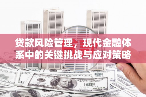 波密贷款风险管理，现代金融体系中的关键挑战与应对策略