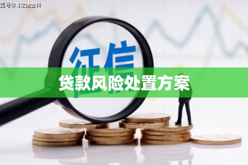 波密贷款风险处置方案