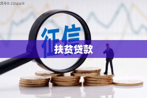 波密扶贫贷款