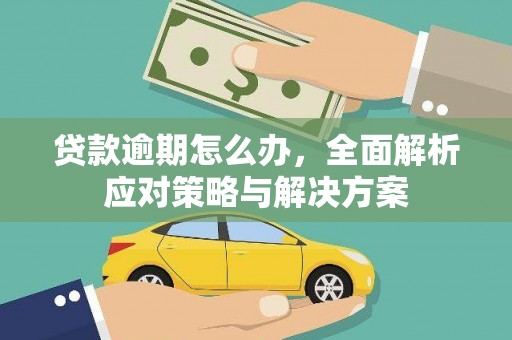 波密贷款逾期怎么办，全面解析应对策略与解决方案